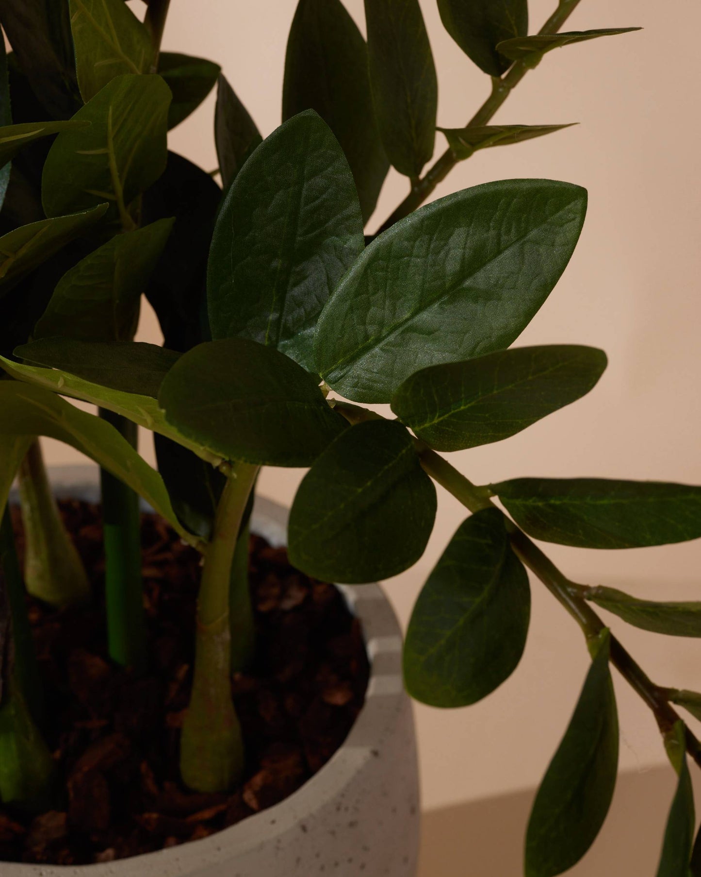 Kunstplant Zamioculcas 70 cm - RHODÉ