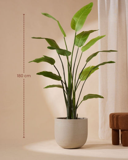 Artificial plant Strelitzia nicolai 180 cm