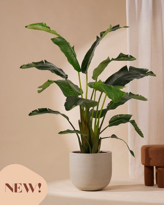 Kunstplant Strelitzia Deluxe 170 cm