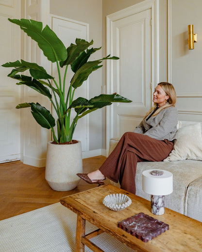Kunstplant Strelitzia Deluxe 170 cm