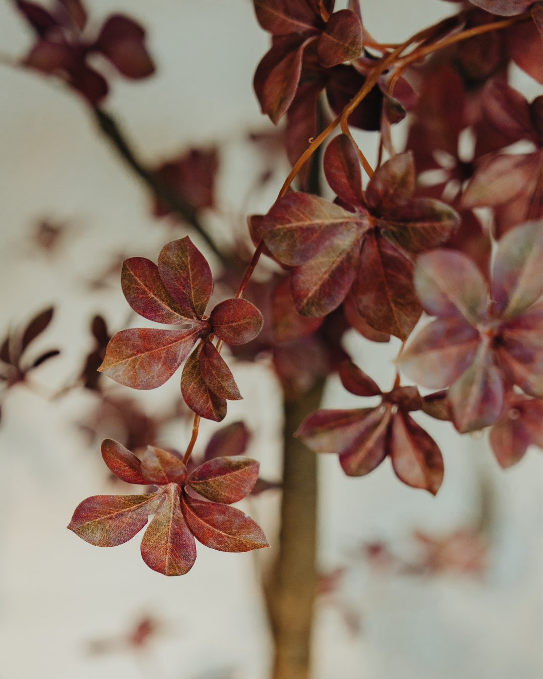 Kunstboom Tropaeolum Burgundy 210 cm