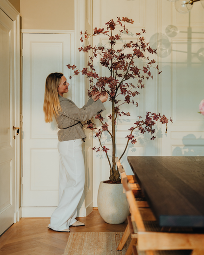 Kunstboom Tropaeolum Burgundy 210 cm