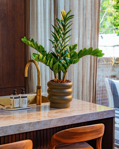 Kunstplant Zamioculcas 70 cm