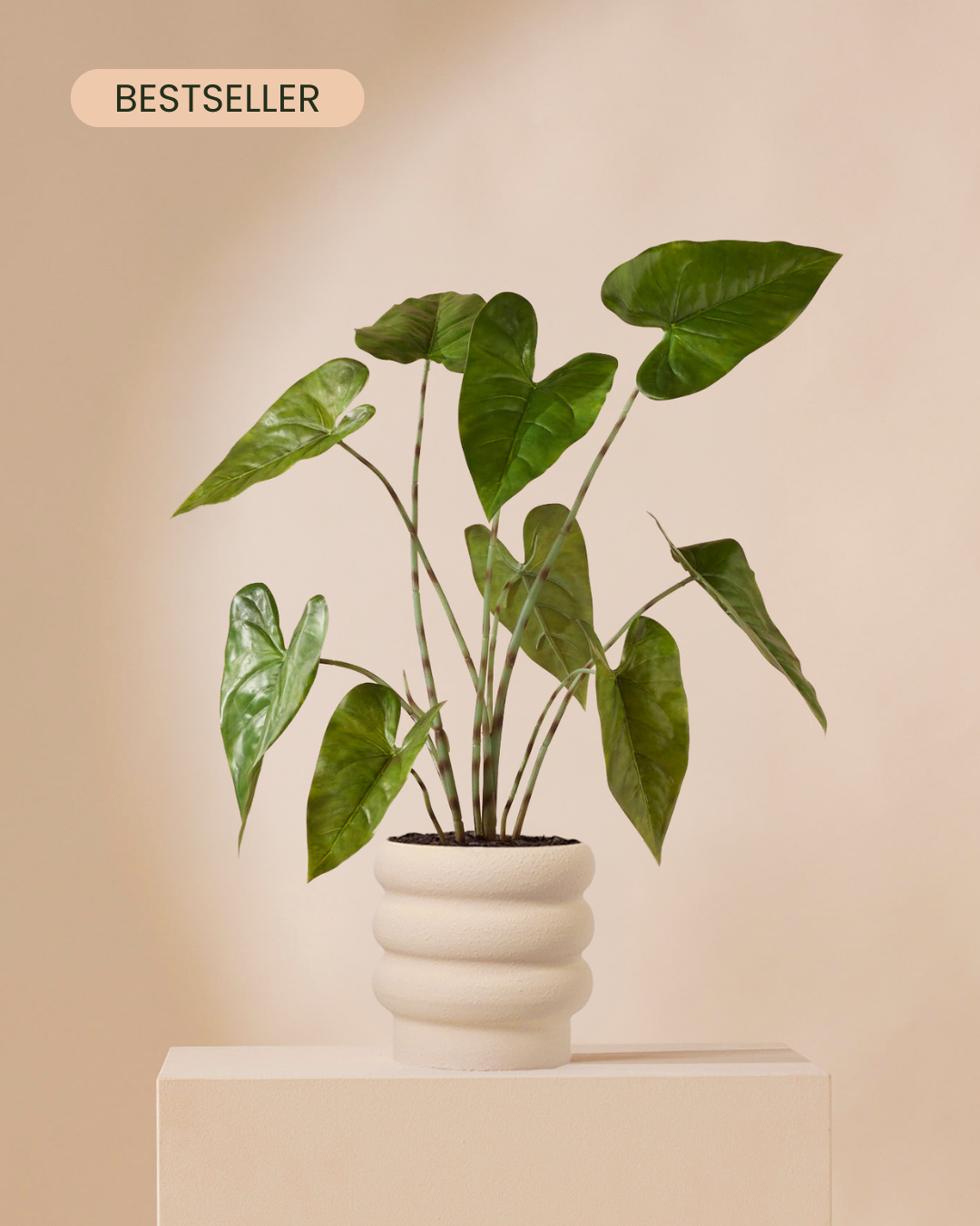 Artificial plant Alocasia zebrina 75 cm