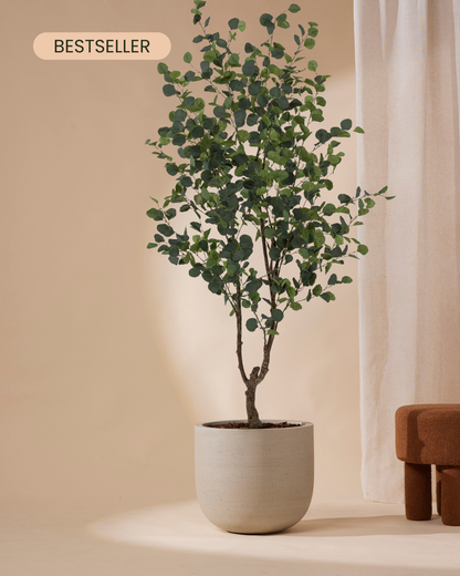 Artificial tree eucalyptus 180 cm