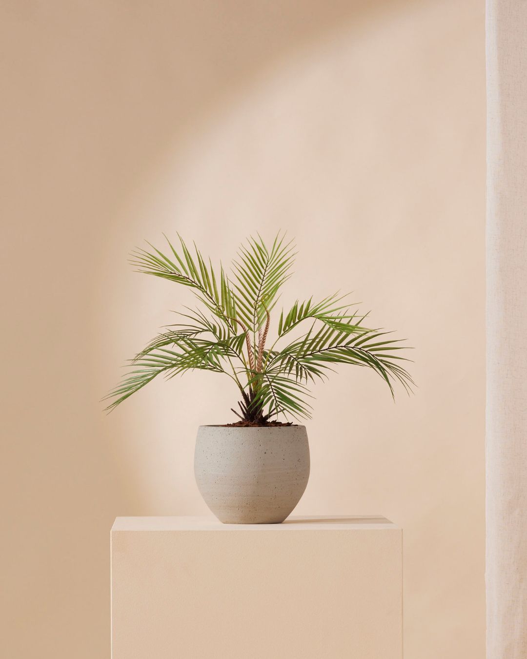 Kunstplant Palm chamaedorea 50 cm