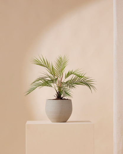 Kunstplant Palm chamaedorea 50 cm