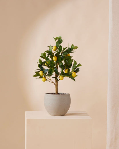 Kunstboompje Citroen 72 cm