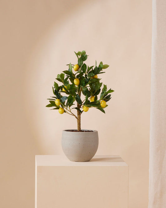 Kunstboompje Citroen 72 cm