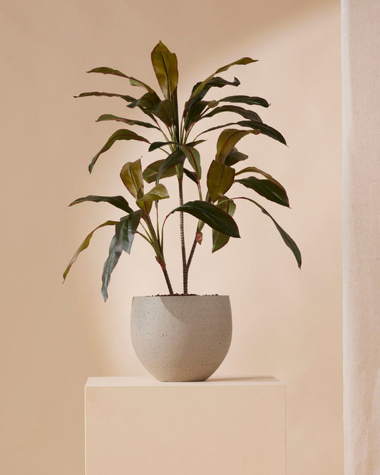 Kunstplant Cordyline 105 cm