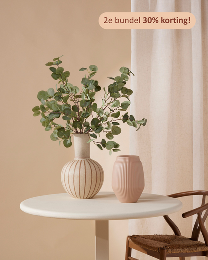 Five Eucalyptus branches 87 cm