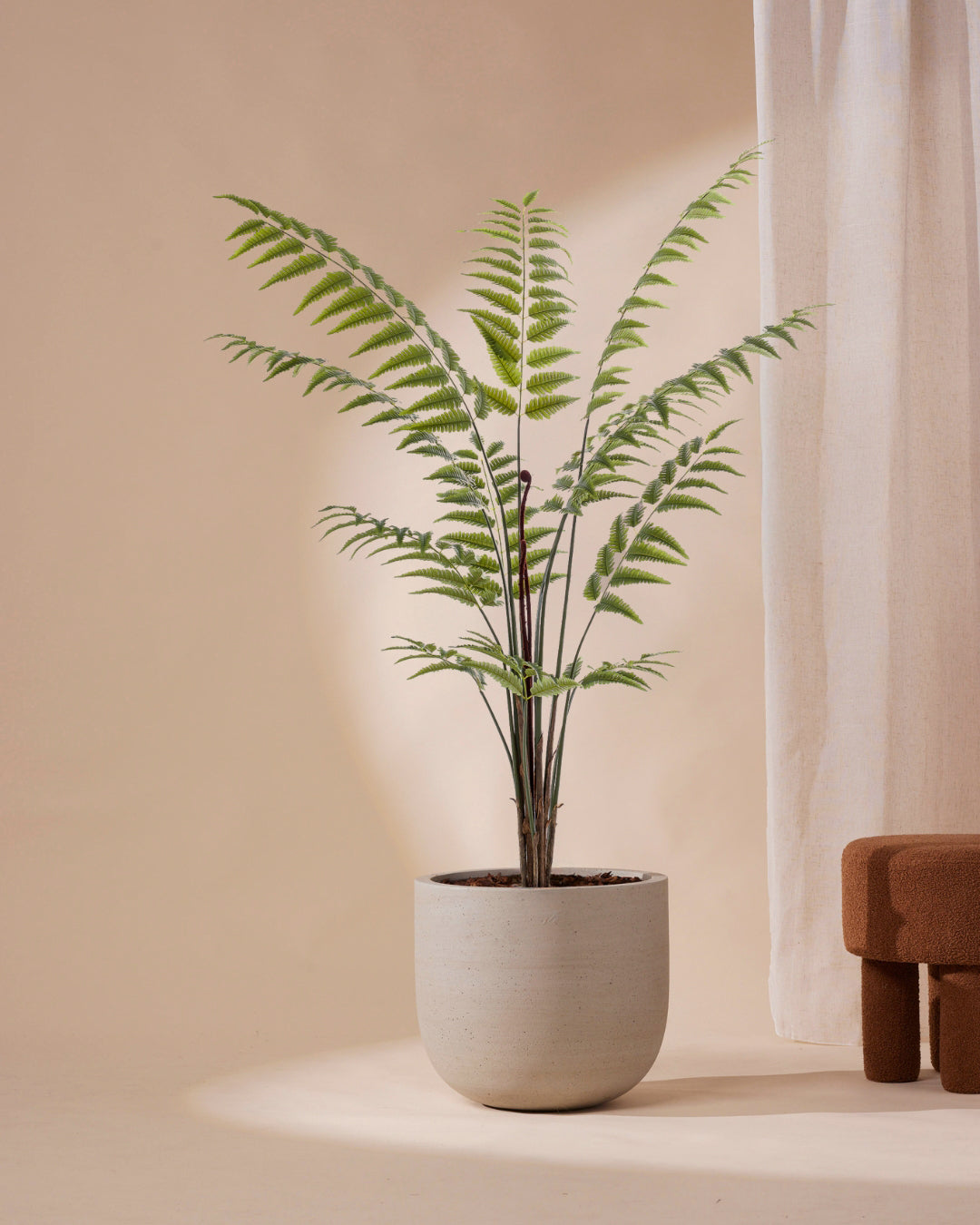 Kunstplant Ledervaren 180 cm