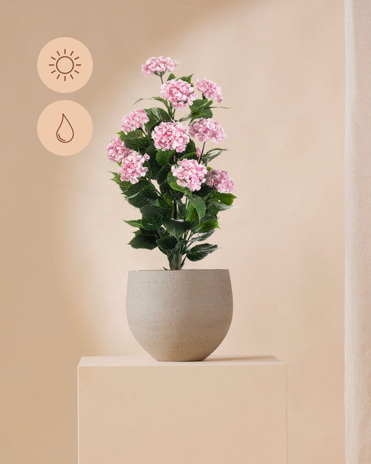 Hortensia roze outdoor 90 cm