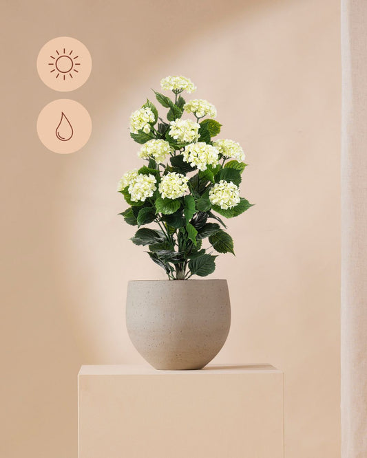 Hortensia wit outdoor 90 cm