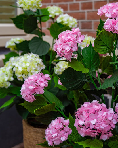 Hortensia roze outdoor 90 cm