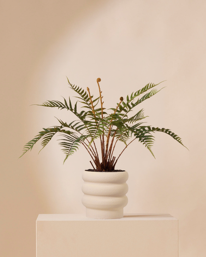 Artificial plant Fern dicksonia 60 cm
