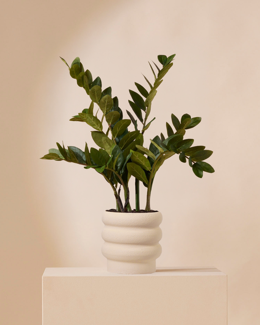 Artificial plant Zamioculcas 70 cm