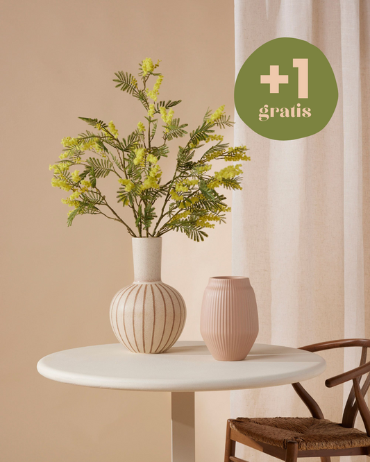 Three Mimosa branches 110 cm