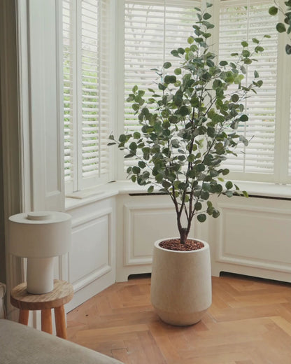 Kunstboom Eucalyptus 180 cm