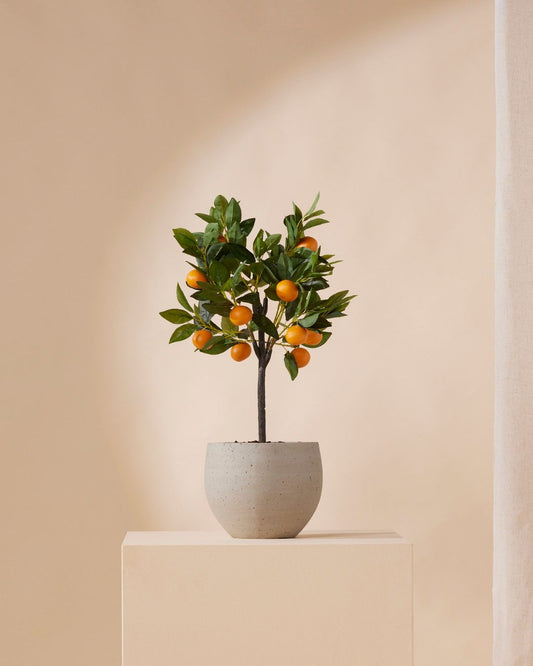 Kunstboompje Sinaasappel 72 cm