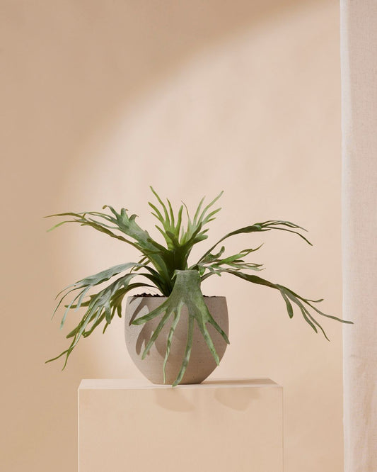 Kunstplant Hertshoorn varen 60 cm