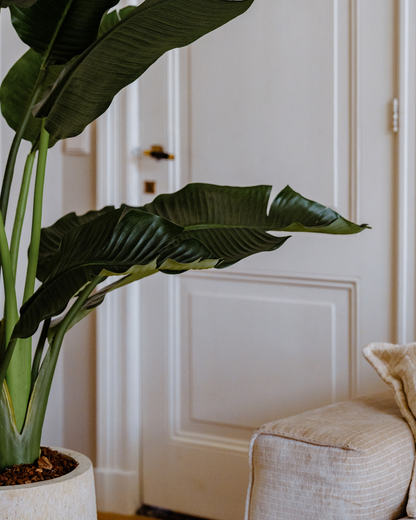 Kunstplant Strelitzia Deluxe 170 cm