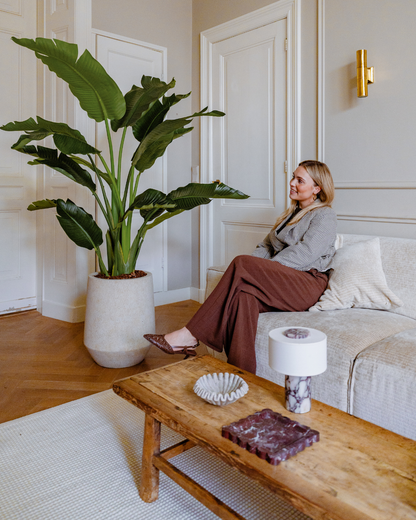 Kunstplant Strelitzia Deluxe 170 cm